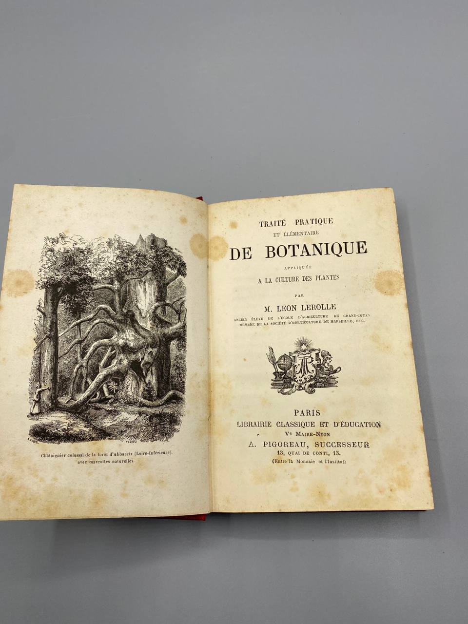 Traité pratique et élémentaire de botanique appliquée à la culture des plantes – Léon Lerolle