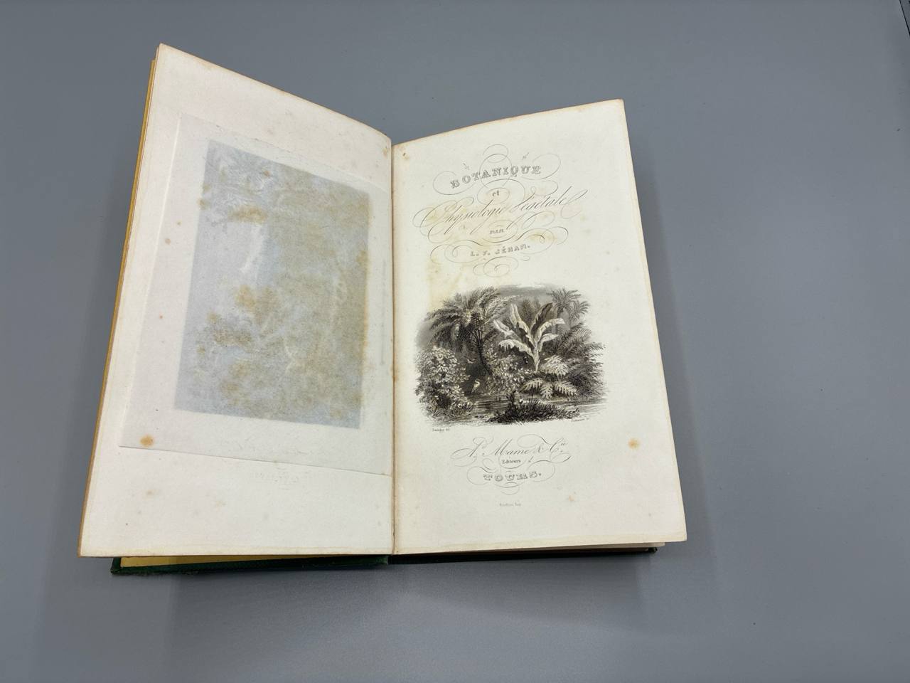 Botanique et physiologie végétale – L.-F. Jéhan, 1864, Alfred Mame et Fils (Tours) – reliure décorée XIXe