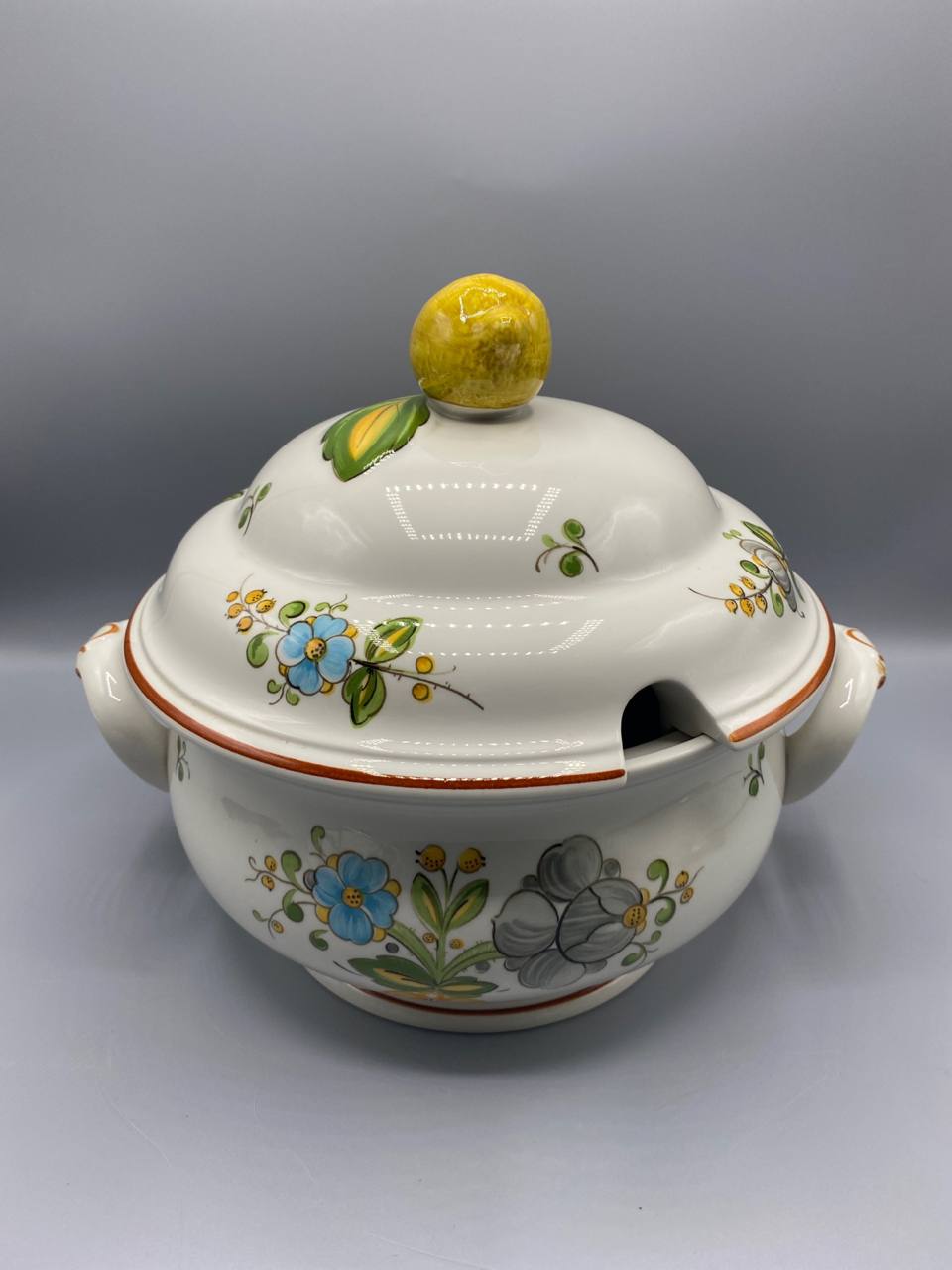 Soupière Villeroy & Boch – Modèle Louisiana – Décor floral – Made in Germany