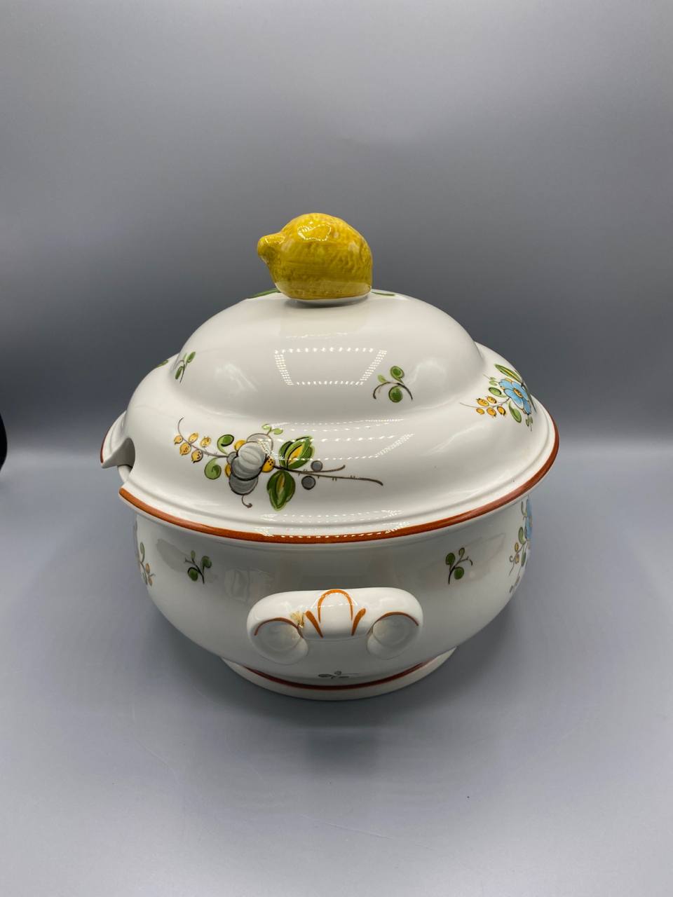 Soupière Villeroy & Boch – Modèle Louisiana – Décor floral – Made in Germany