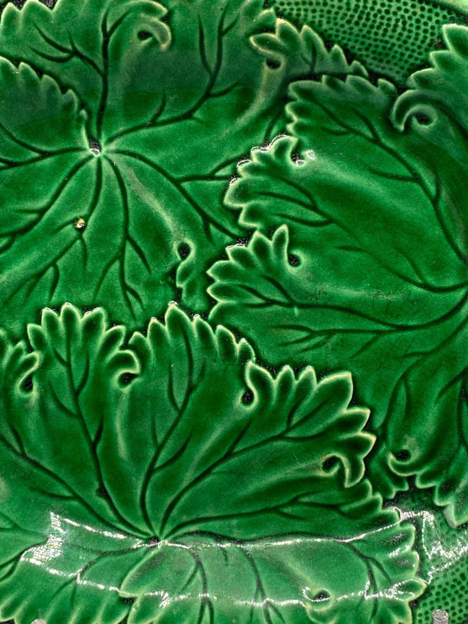 Plat de service en faïence majolique verte – Décor feuilles de vigne en relief – Deux anses – XIXe siècle