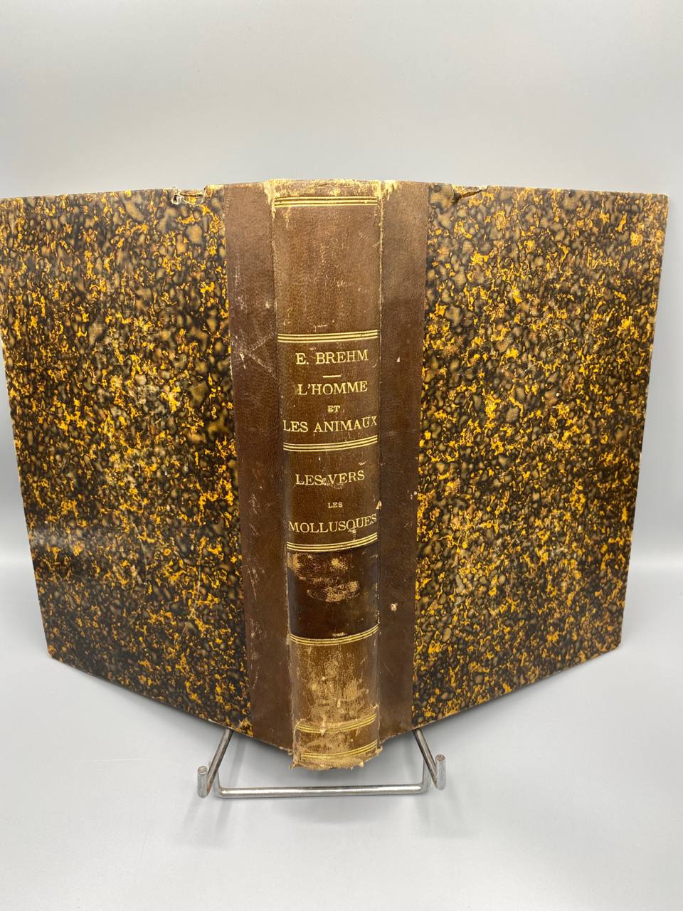 Merveilles de la Nature – Les Vers, Les Mollusques – A.E. Brehm – Baillière