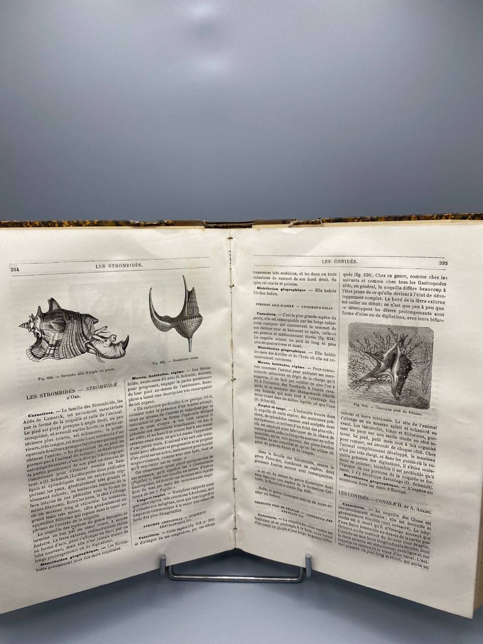Merveilles de la Nature – Les Vers, Les Mollusques – A.E. Brehm – Baillière