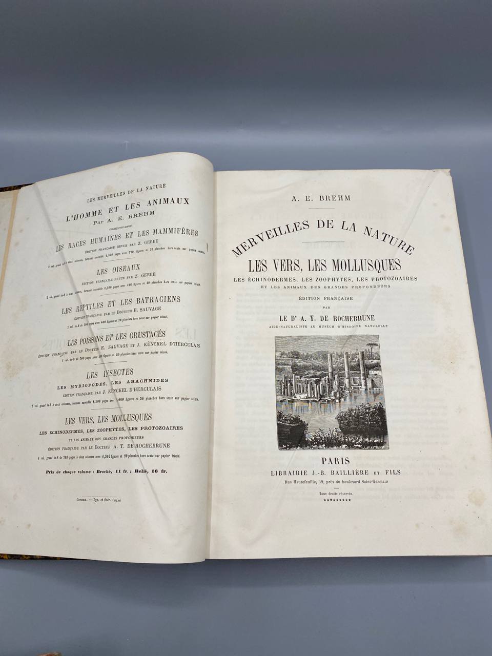 Merveilles de la Nature – Les Vers, Les Mollusques – A.E. Brehm – Baillière