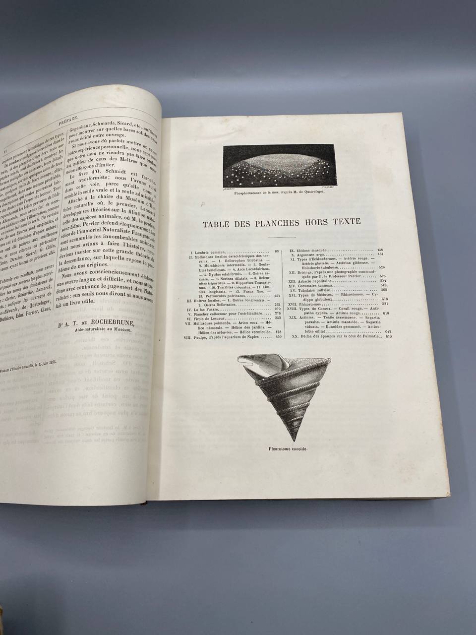 Merveilles de la Nature – Les Vers, Les Mollusques – A.E. Brehm – Baillière