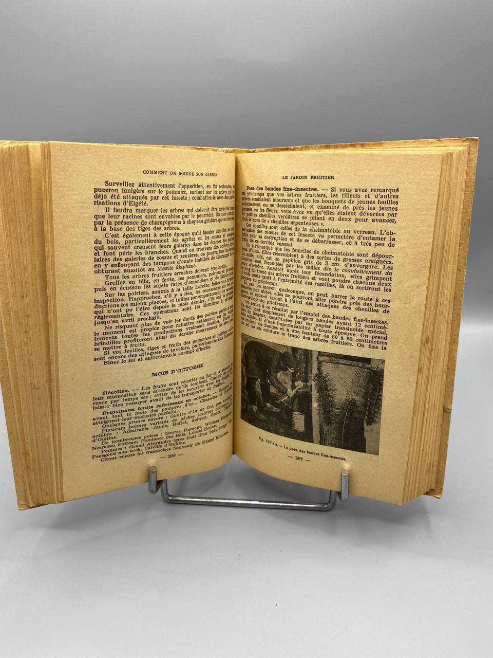Comment on soigne son Jardin – Georges Truffaut – 13e édition