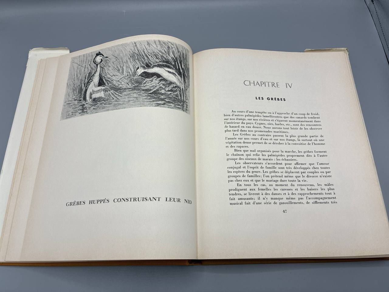 Gibiers de Notre Pays – Gibiers d'eau douce – J. Oberthur