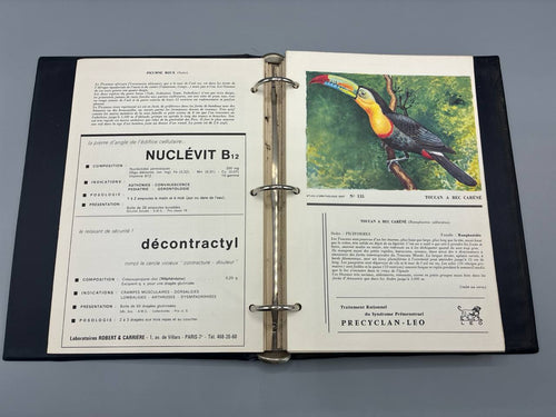 Atlas d'Ornithologie – Tomes I et II – Planches couleurs – Années 1960-1970