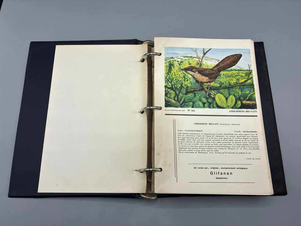 Atlas d'Ornithologie – Tomes I et II – Planches couleurs – Années 1960-1970