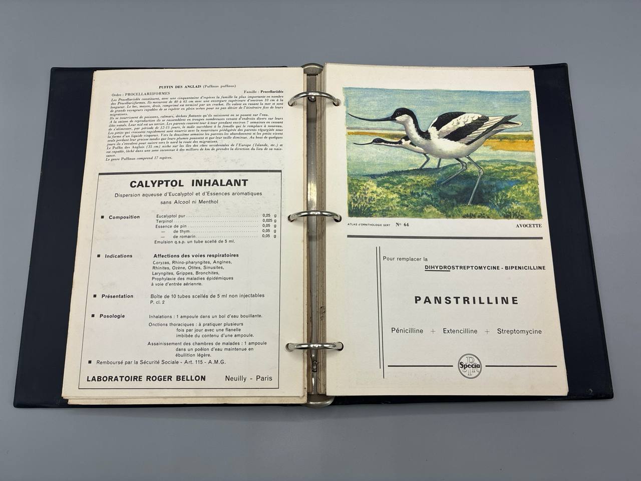 Atlas d'Ornithologie – Tomes I et II – Planches couleurs – Années 1960-1970