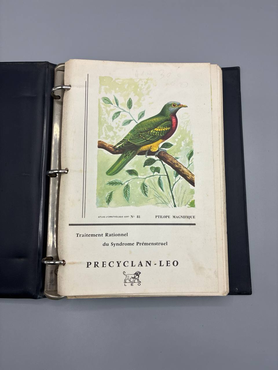 Atlas d'Ornithologie – Tomes I et II – Planches couleurs – Années 1960-1970