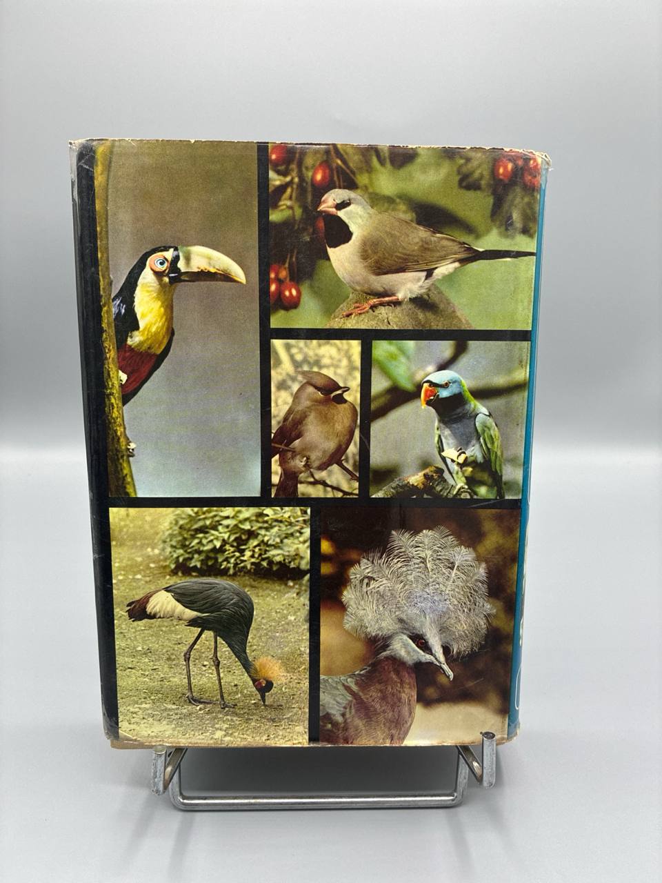 Encyclopédie illustrée des Oiseaux – Jan Hanzák – Gründ – 1973