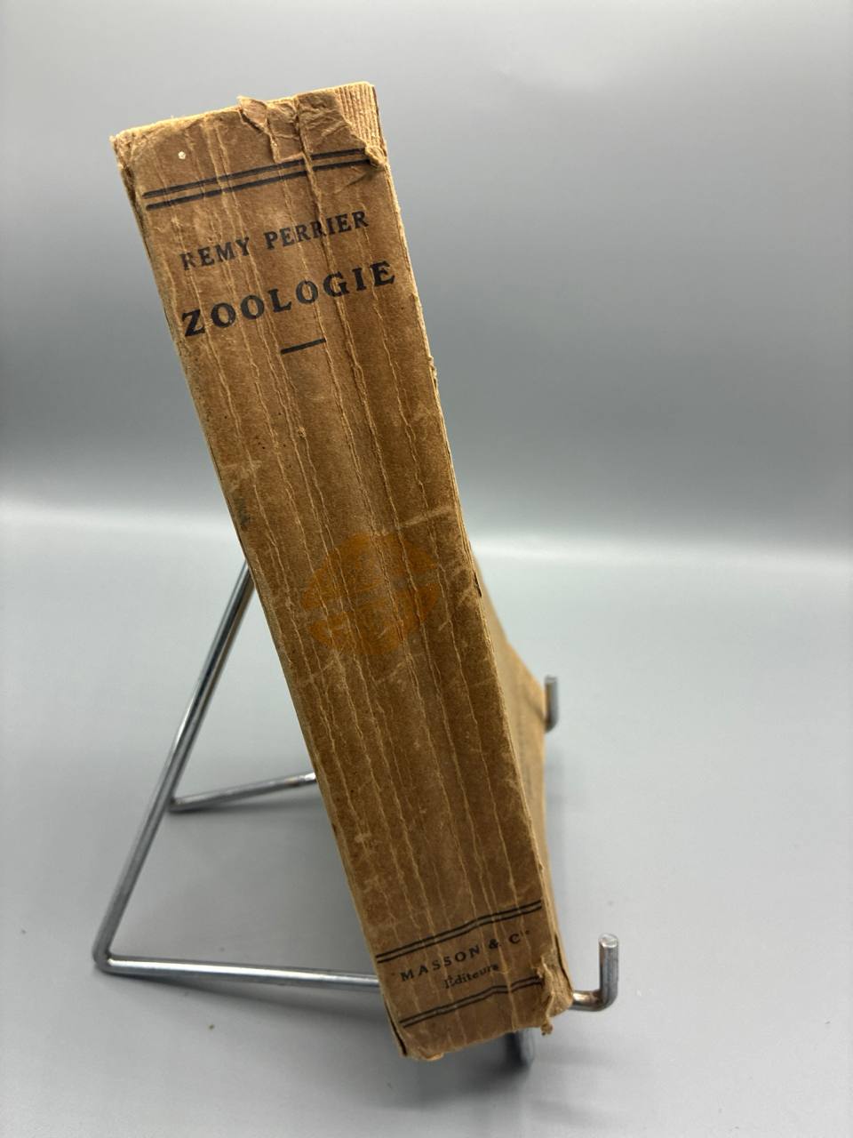 Cours Élémentaire de Zoologie – Rémy Perrier – Masson et Cie, 1921