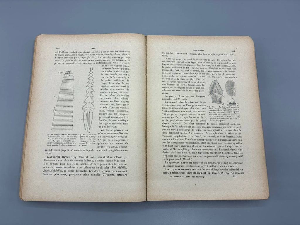 Cours Élémentaire de Zoologie – Rémy Perrier – Masson et Cie, 1921