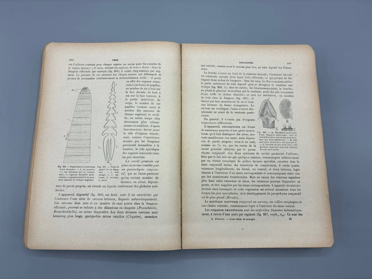 Cours Élémentaire de Zoologie – Rémy Perrier – Masson et Cie, 1921