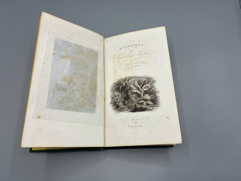 Botanique et physiologie végétale – L.-F. Jéhan, 1864, Alfred Mame et Fils (Tours) – reliure décorée XIXe