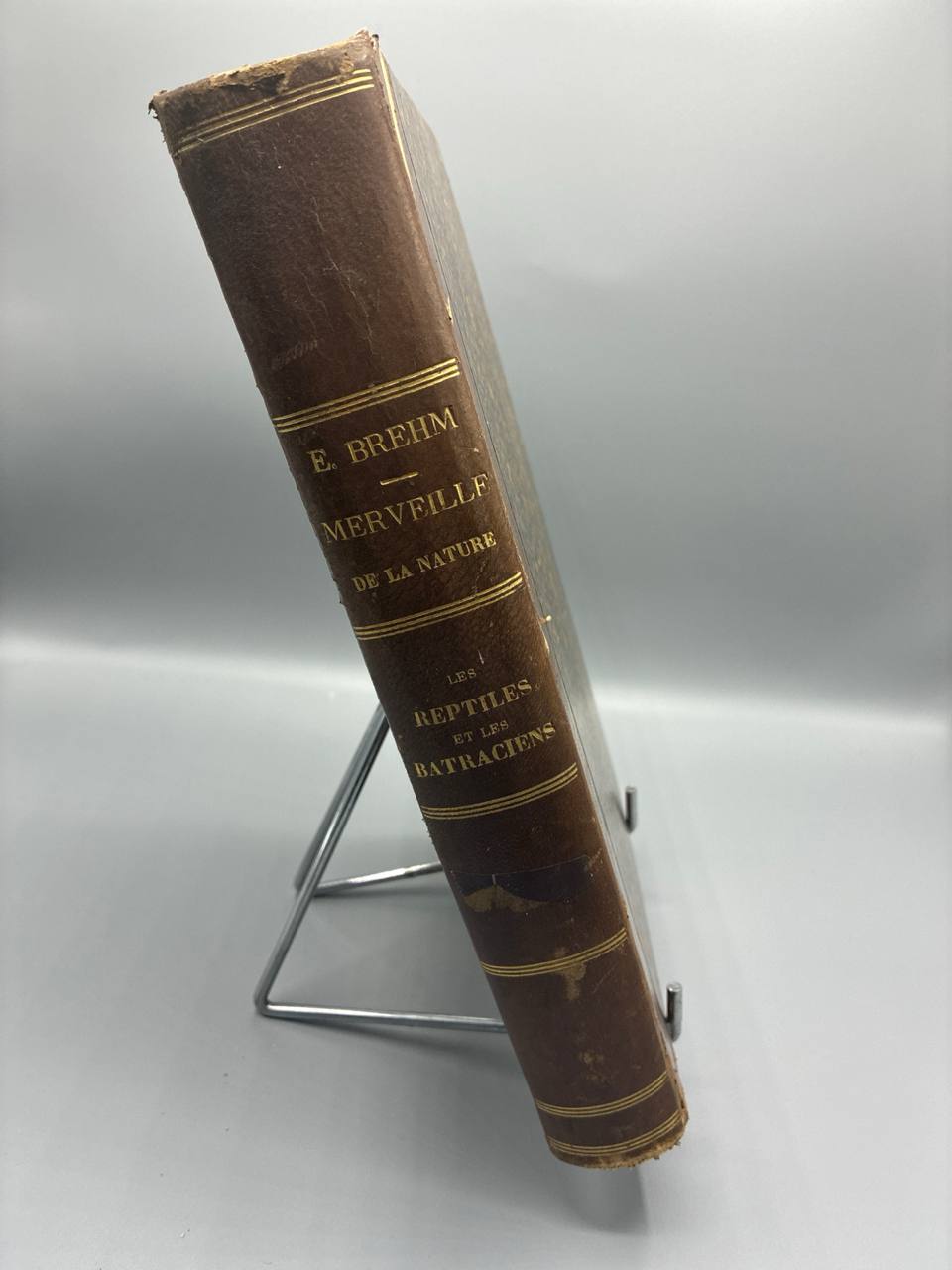 Merveilles de la Nature. Les Reptiles et les Batraciens – A. E. Brehm – Librairie Ballière, 1884