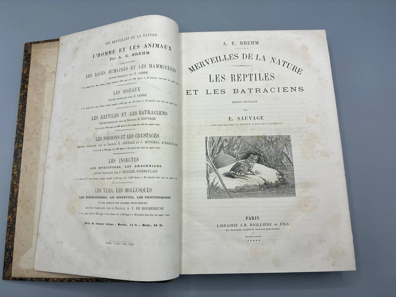 Merveilles de la Nature. Les Reptiles et les Batraciens – A. E. Brehm – Librairie Ballière, 1884