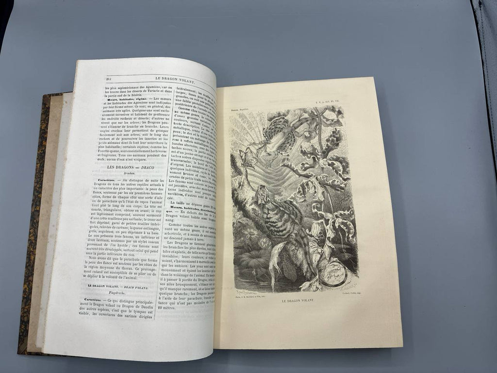 Merveilles de la Nature. Les Reptiles et les Batraciens – A. E. Brehm – Librairie Ballière, 1884