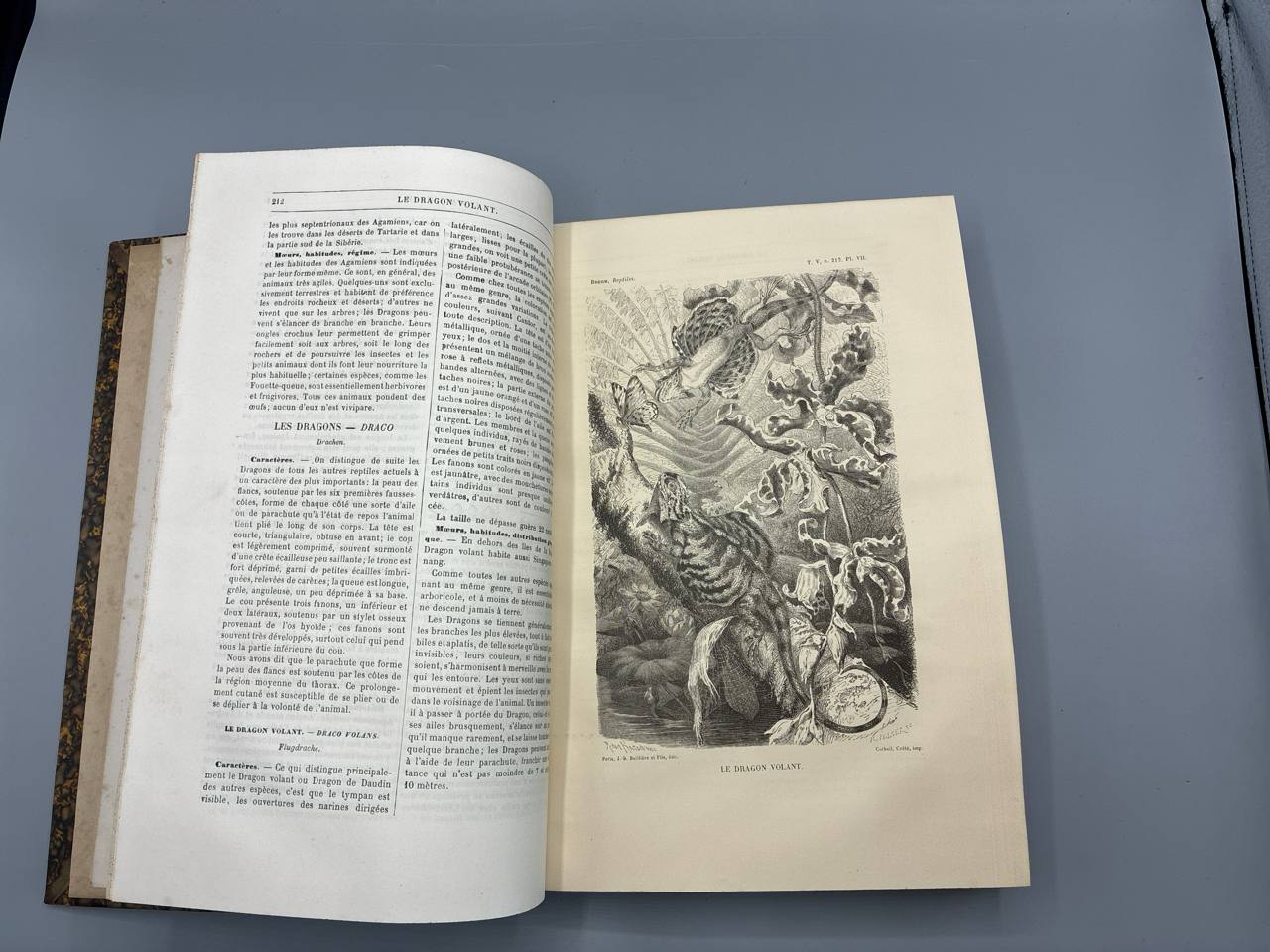 Merveilles de la Nature. Les Reptiles et les Batraciens – A. E. Brehm – Librairie Ballière, 1884