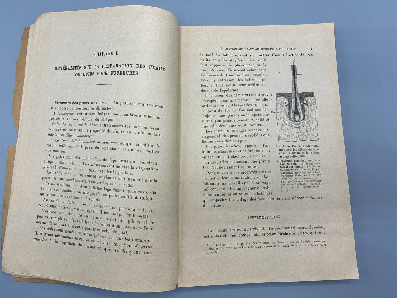 Industries des poils et fourrures, cheveux et plumes – Francis J.-G. Beltzer – Dunod 1928