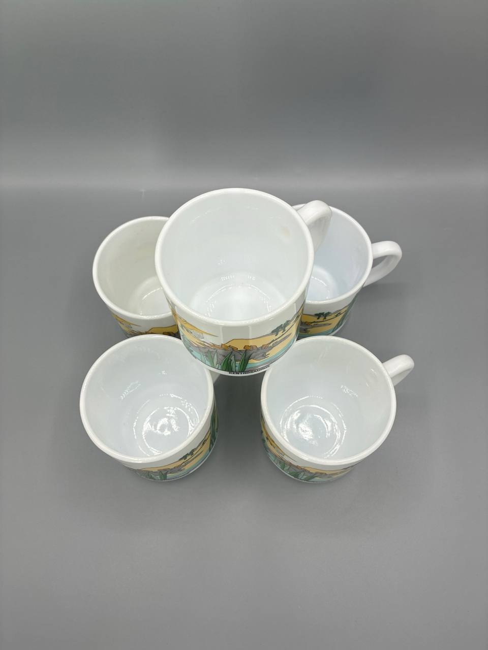 Série de 5 mugs Arcopal – Décor dinosaures Jurassique – Kentrosaurus Scaphognathus – Années 80
