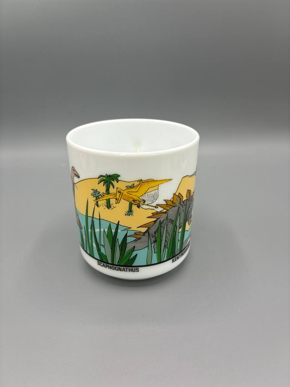 Série de 5 mugs Arcopal – Décor dinosaures Jurassique – Kentrosaurus Scaphognathus – Années 80