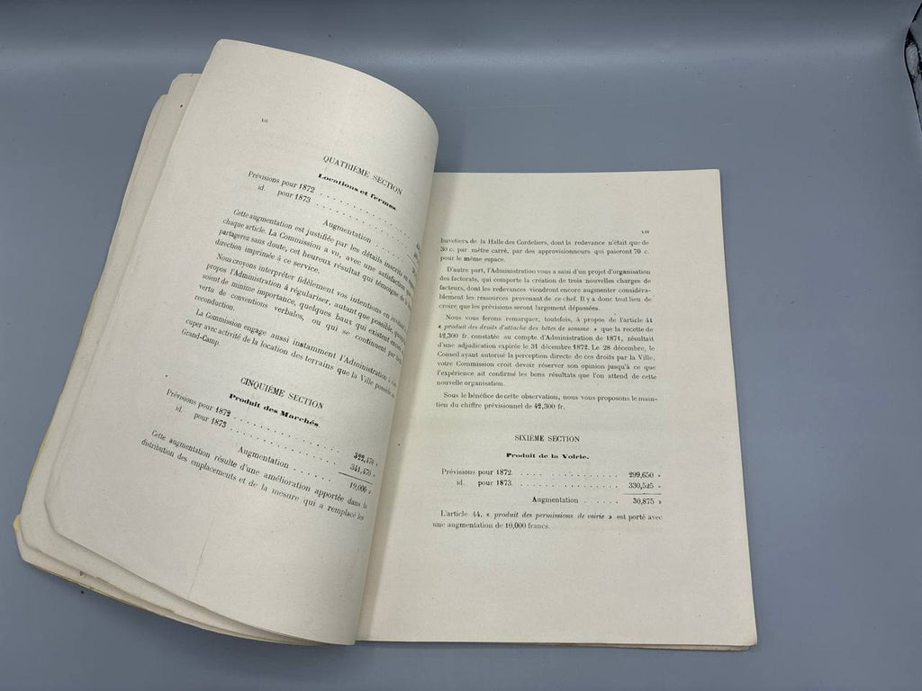 Rapport sur le Budget de 1873 – Conseil Municipal de la Ville de Lyon – M. Despeignes Rapporteur