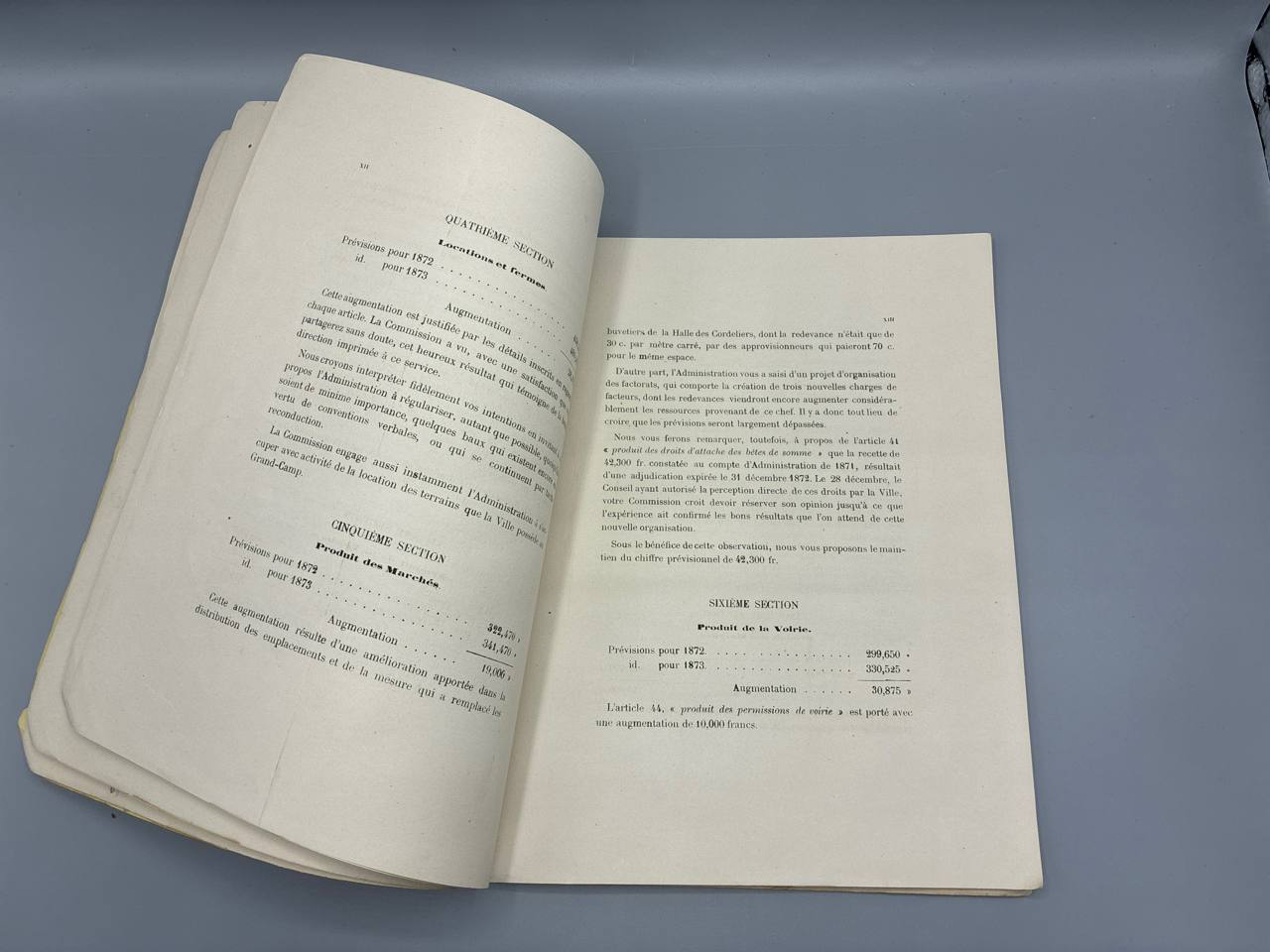 Rapport sur le Budget de 1873 – Conseil Municipal de la Ville de Lyon – M. Despeignes Rapporteur