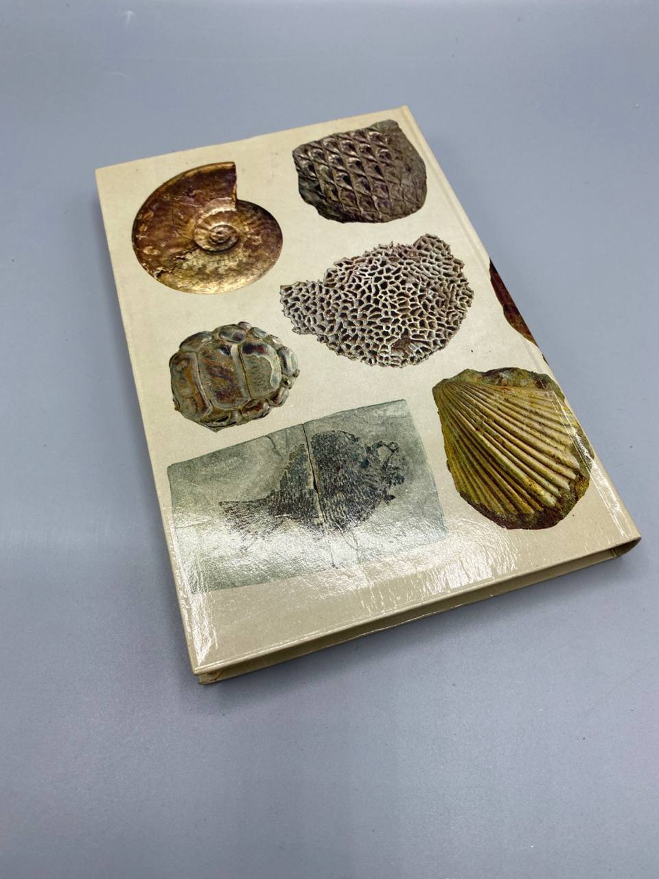 Les Fossiles en couleurs – J.F. Kirkaldy – Fernand Nathan, 1973