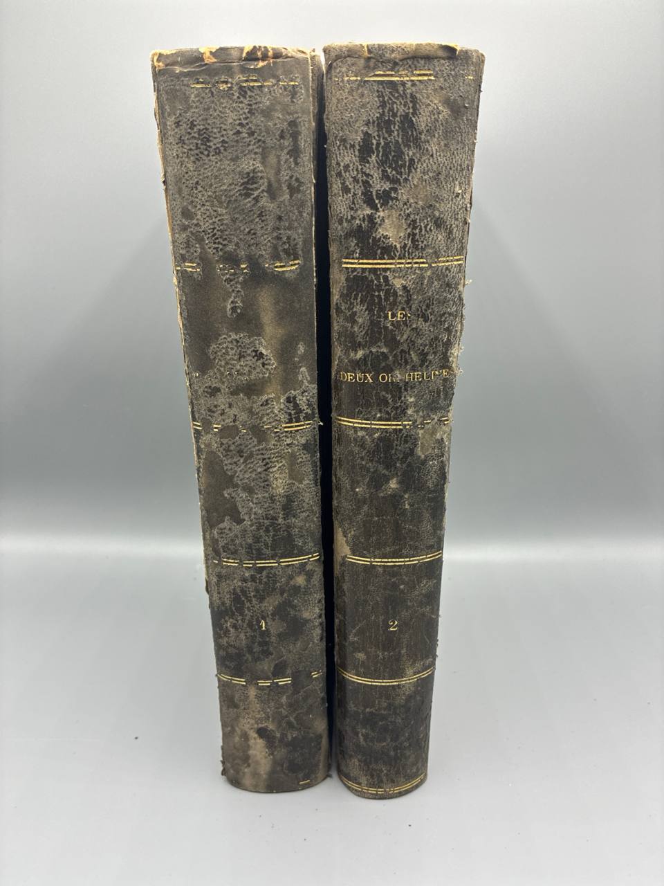 Les Deux Orphelines – Adolphe d'Ennery – Jules Rouff – 2 volumes illustrés Sargent et Oudan