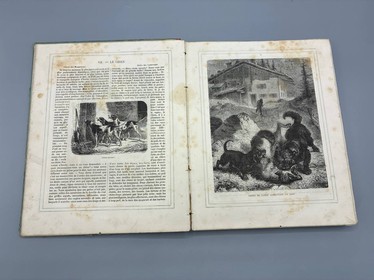 A Travers Nos Campagnes – Histoire des Animaux et des Plantes de Notre Pays – Ch. Delon – Hachette, 1884