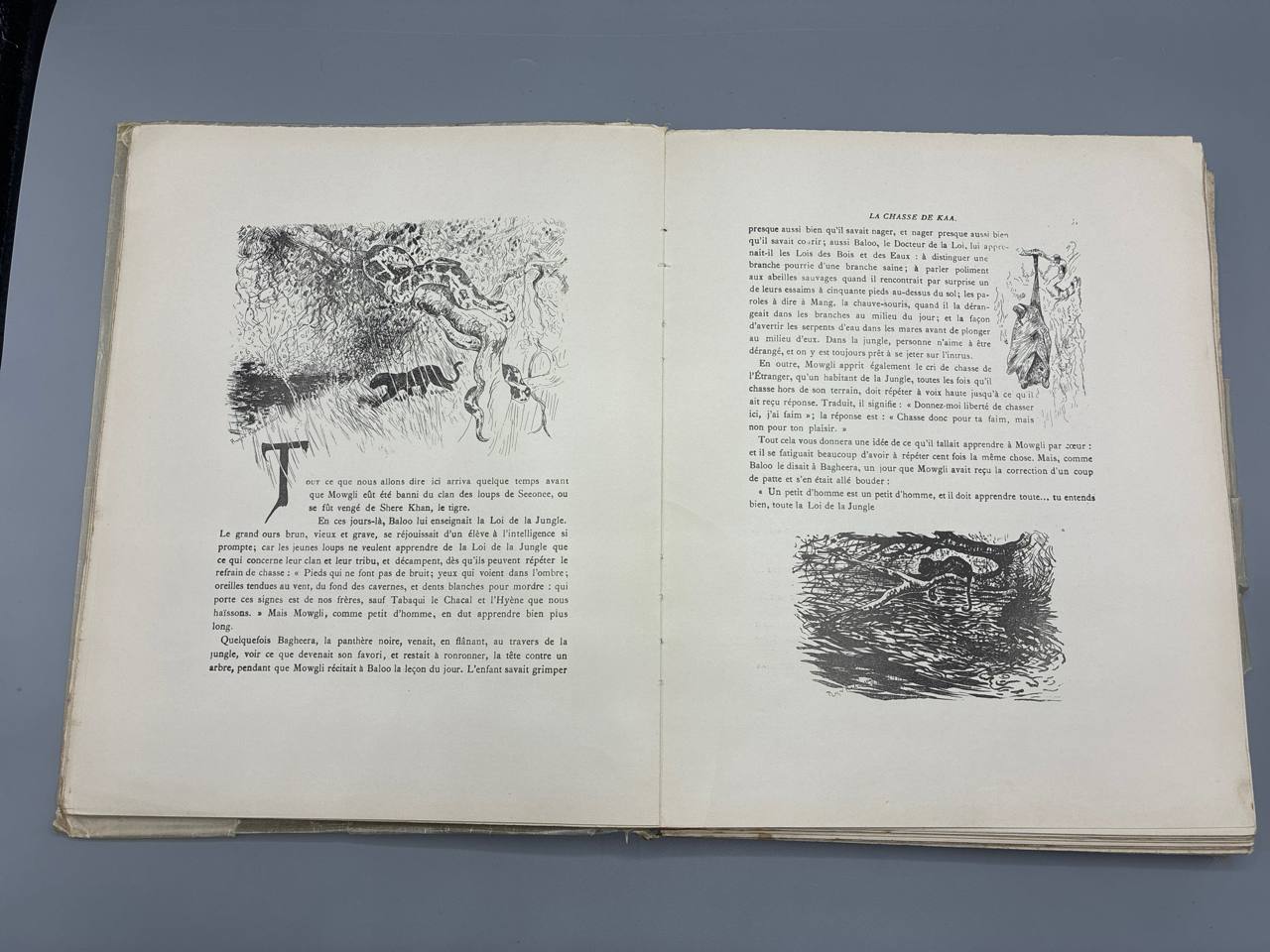 Rudyard Kipling – Le Livre de la Jungle et Le Second Livre de la Jungle – Édition bibliophilique Delagrave 1937-1938 – Illustrations Reboussin
