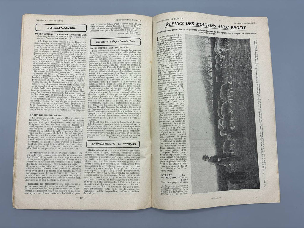Jardins et Basses-Cours et la Fermière, N° 295, octobre 1926