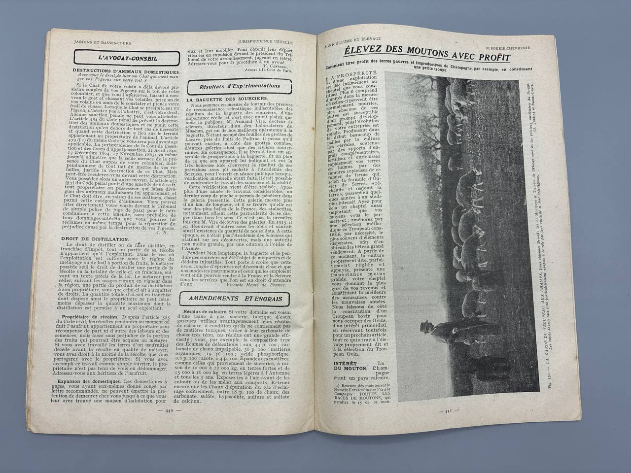 Jardins et Basses-Cours et la Fermière, N° 295, octobre 1926