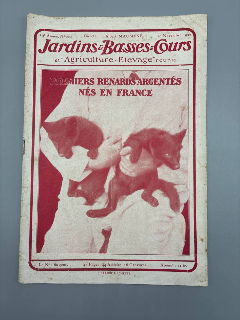 Jardins et Basses-Cours, N° 274, novembre 1925, premiers renards argentés nés en France
