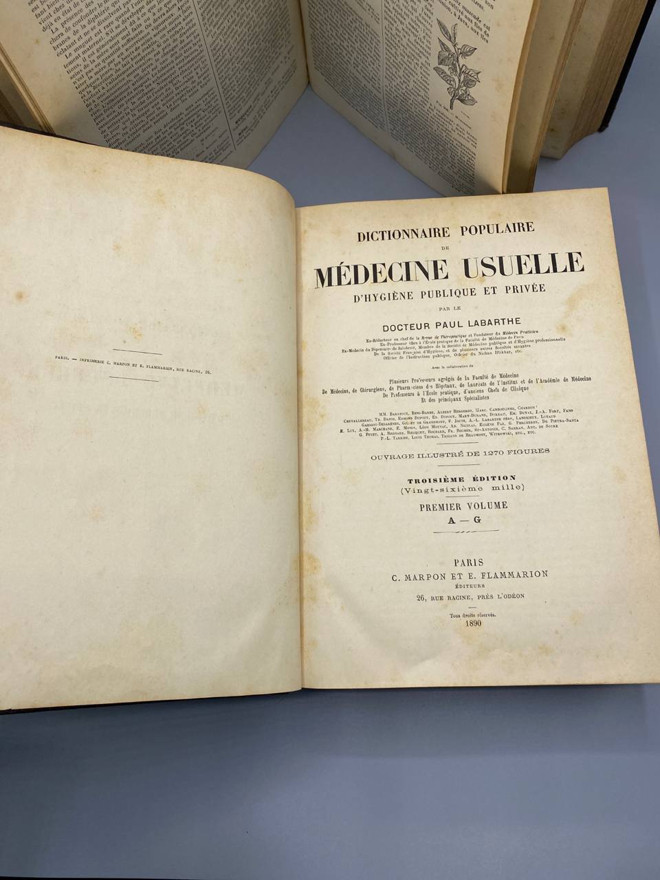 Dictionnaire Populaire de Médecine Usuelle – Paul Labarthe – 2 volumes – 1890