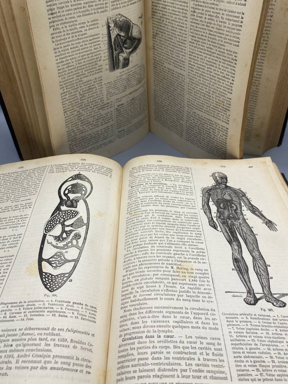Dictionnaire Populaire de Médecine Usuelle – Paul Labarthe – 2 volumes – 1890