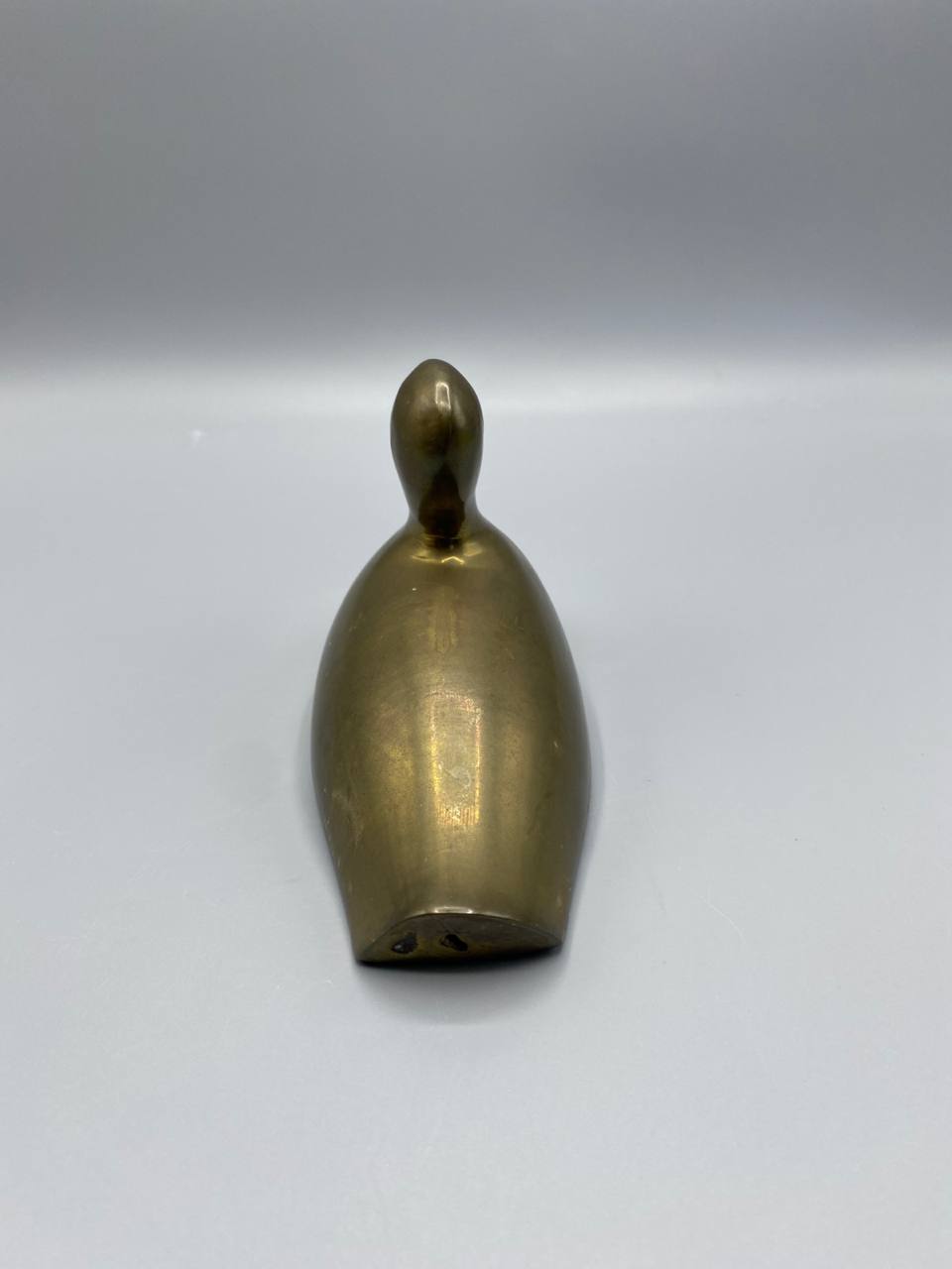 Canard laiton, vue de face