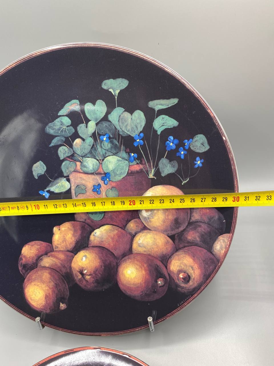 Diamètre 30 cm grand plat Gien Cueillette nature morte fruits fond noir