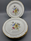 5 assiettes plates porcelaine Royal C.G. Vierzon, décor floral polychrome