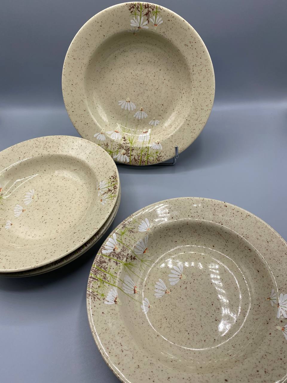 6 assiettes creuses grès Tułowice, vue ensemble décor marguerites