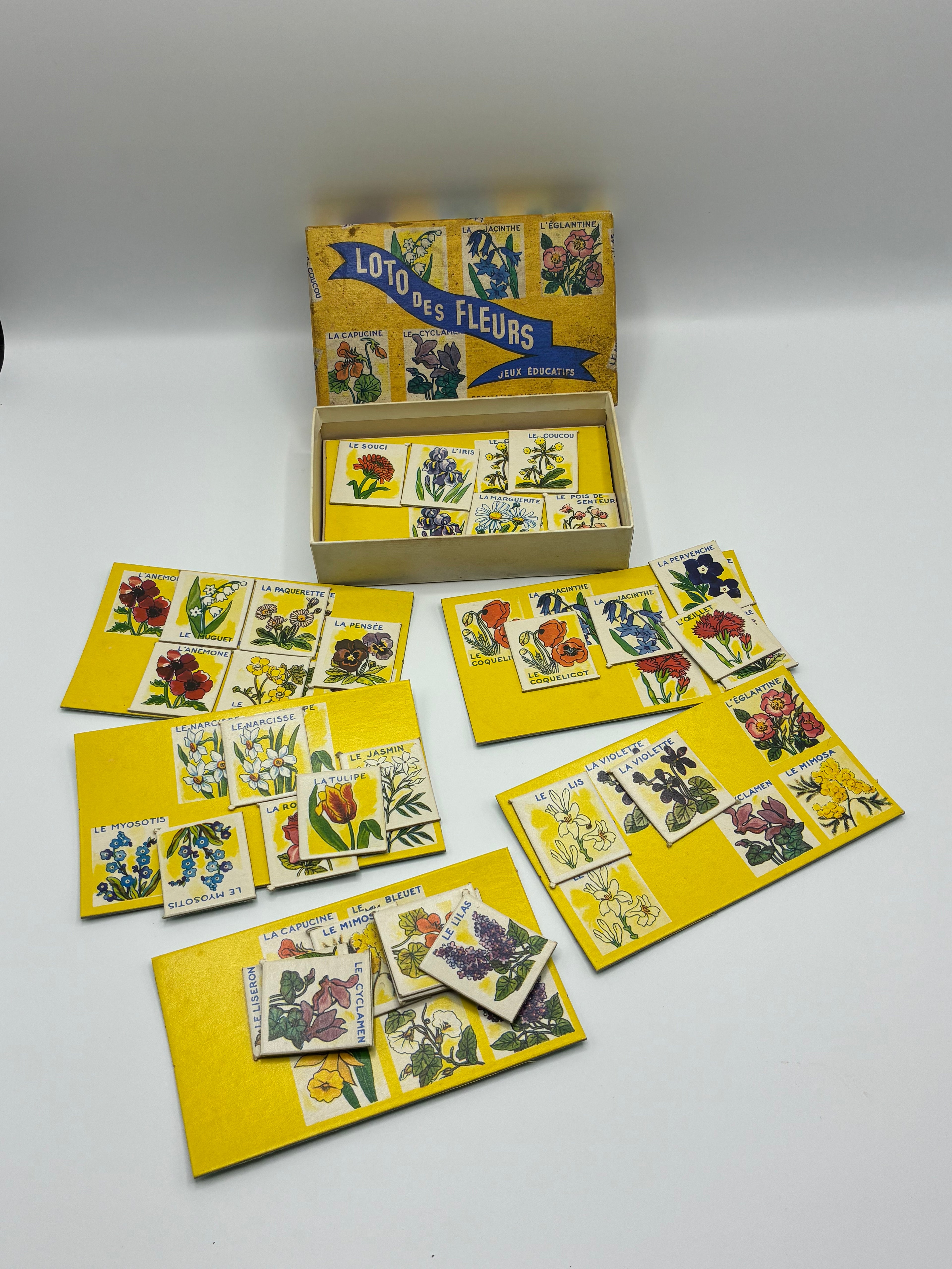 Loto des Fleurs – Jeu éducatif complet Fernand Nathan, Paris – Années 1950