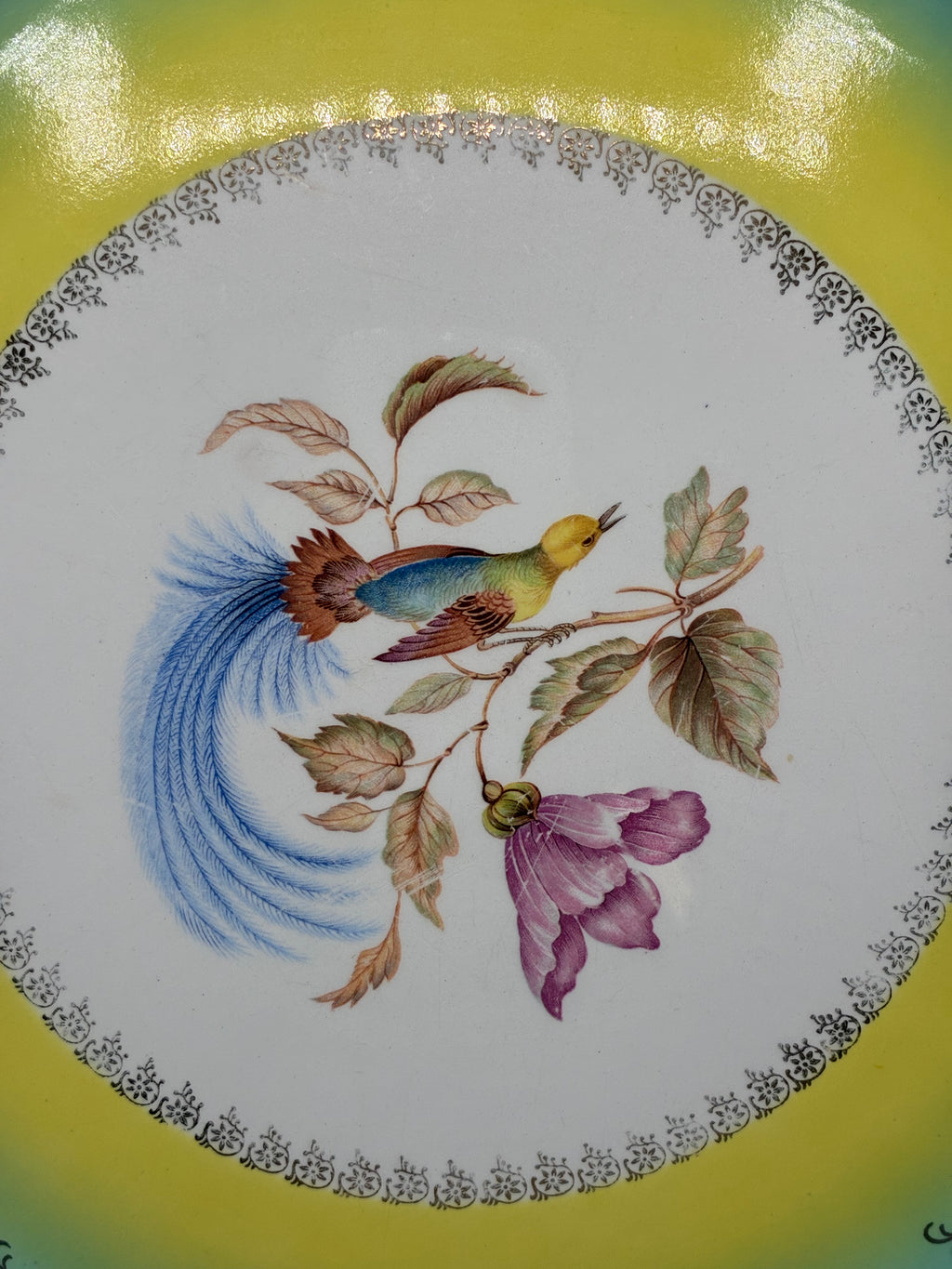 Grand plat ancien Digoin Sarreguemines Oiseaux des Îles début XXe siècle
