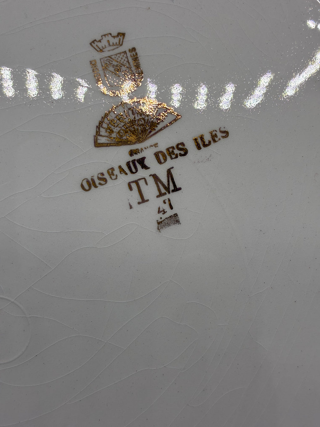 Grand plat ancien Digoin Sarreguemines Oiseaux des Îles début XXe siècle