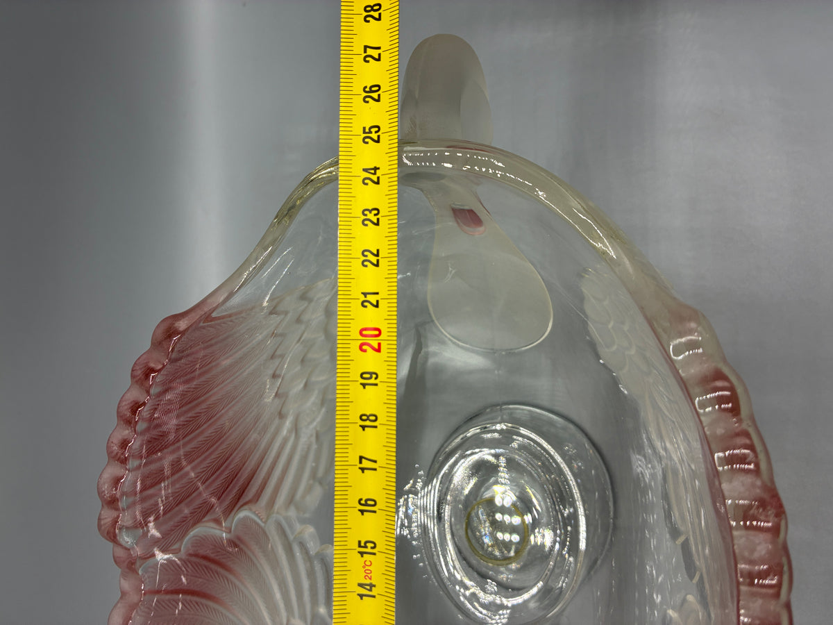 Mesure de la largeur de la coupe aux cygnes