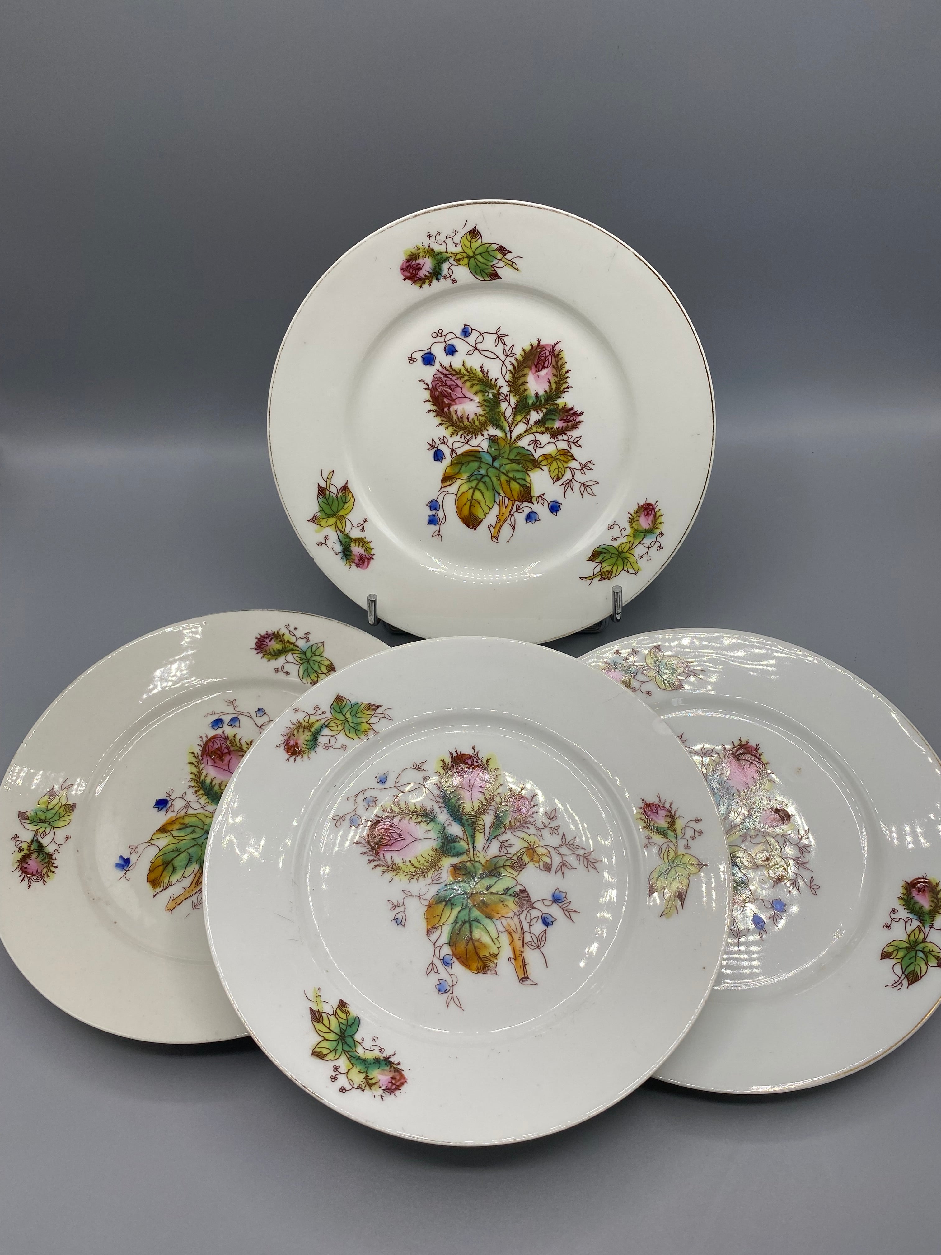 5 assiettes porcelaine Limoges décor chardons campanules, vue d'ensemble