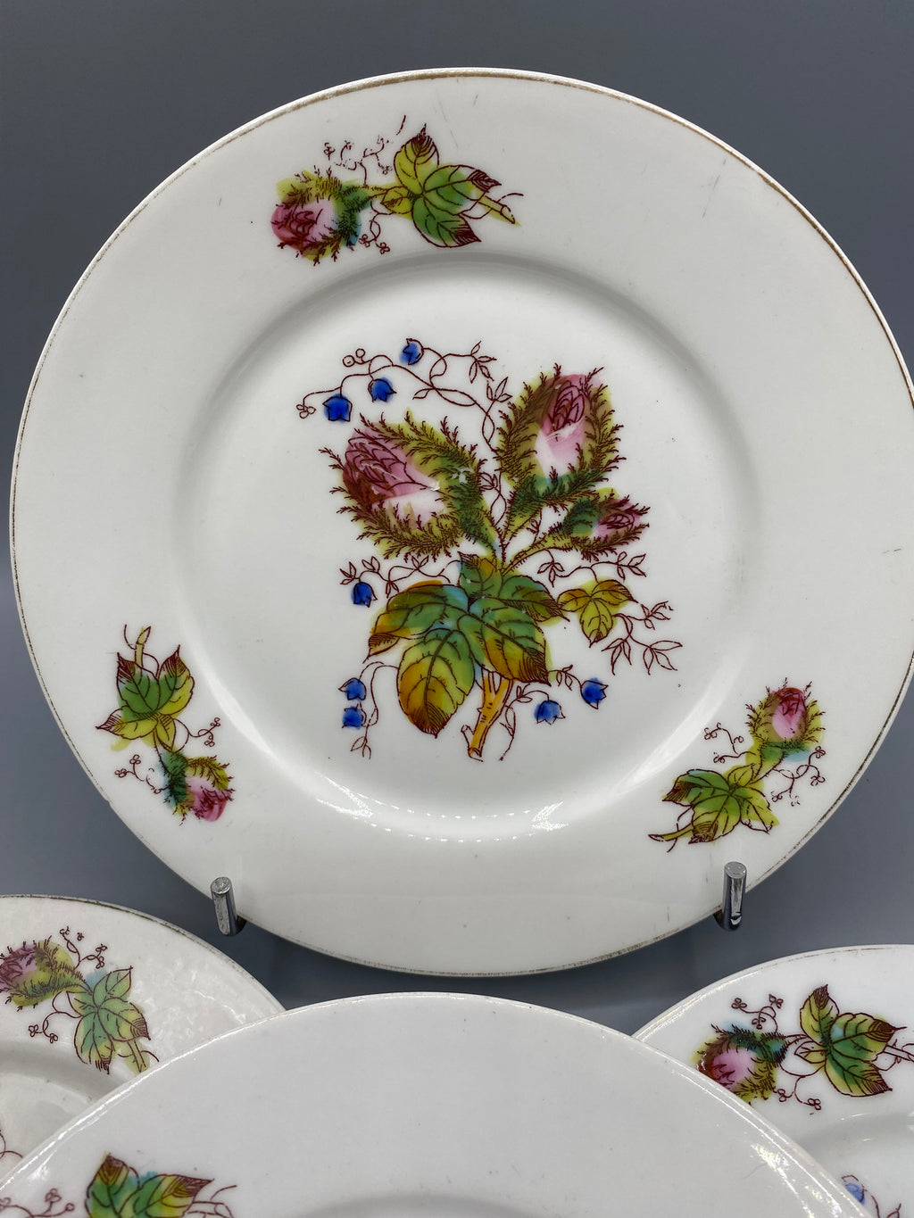 Assiette porcelaine Limoges, détail décor chardon rose-mauve et campanules bleues