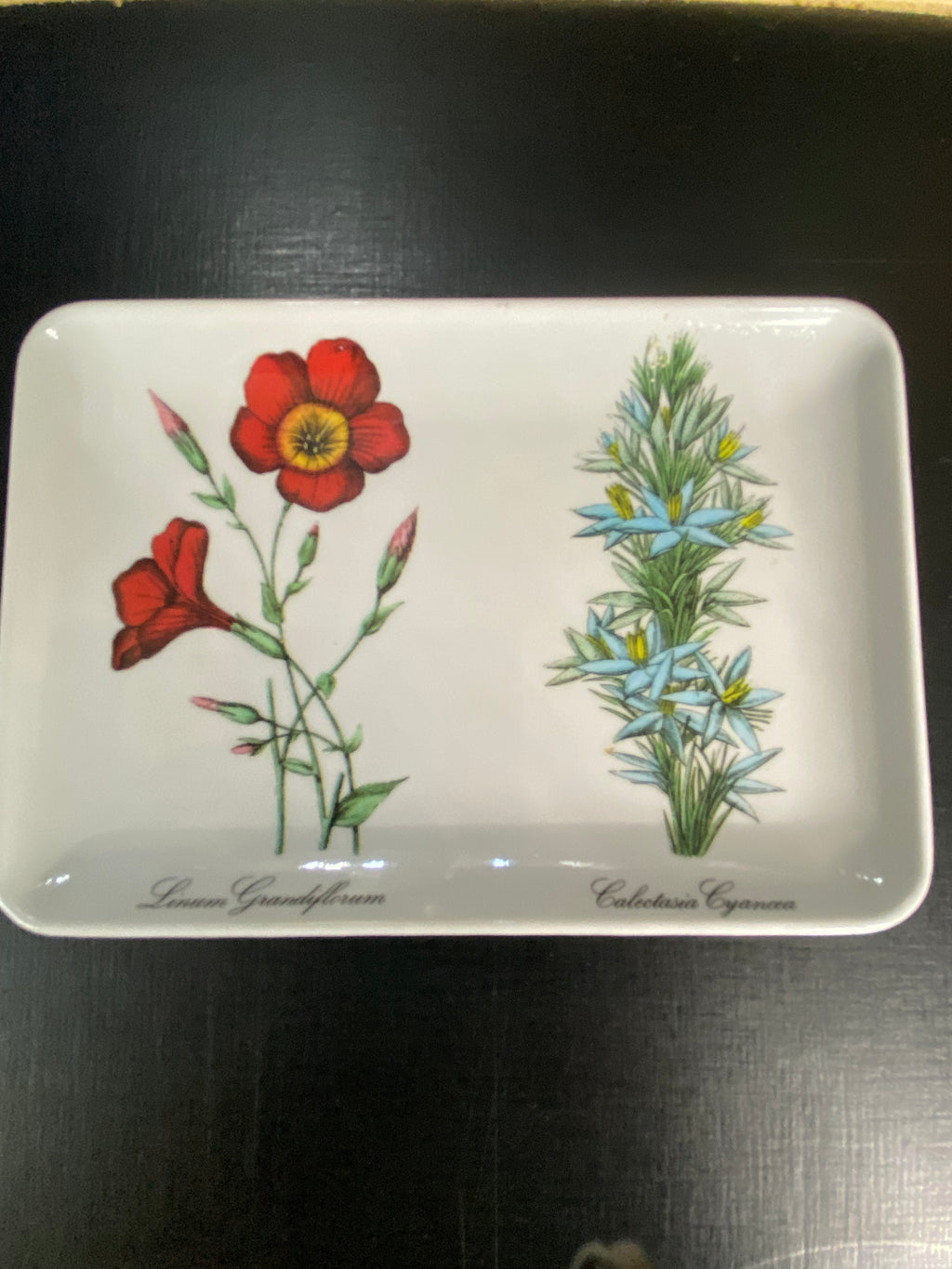 Vide-poche mélaminé blanc décor botanique Linum rouge et Calotasia bleu, vue de face