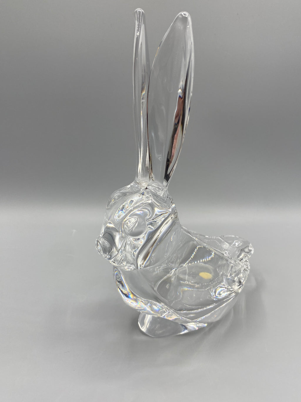 Lapin cristal Vannes-le-Châtel – vue de face oreilles dressées